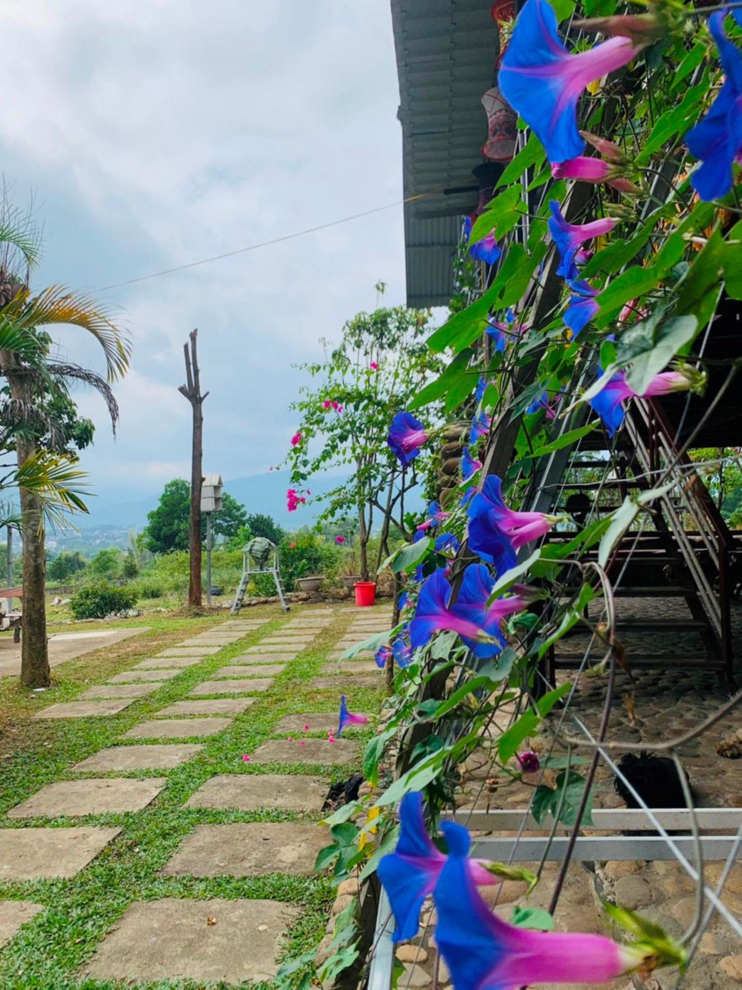 Homestay Nha Cua Mi - Mi'S House Yen Bai ภายนอก รูปภาพ