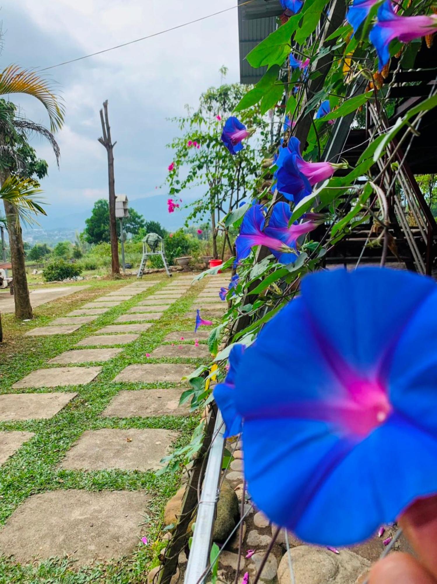 Homestay Nha Cua Mi - Mi'S House Yen Bai ภายนอก รูปภาพ