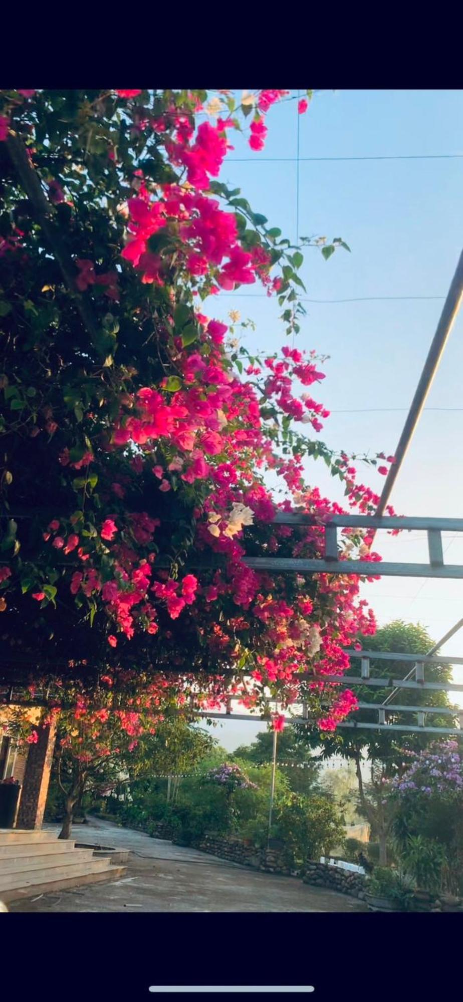 Homestay Nha Cua Mi - Mi'S House Yen Bai ภายนอก รูปภาพ