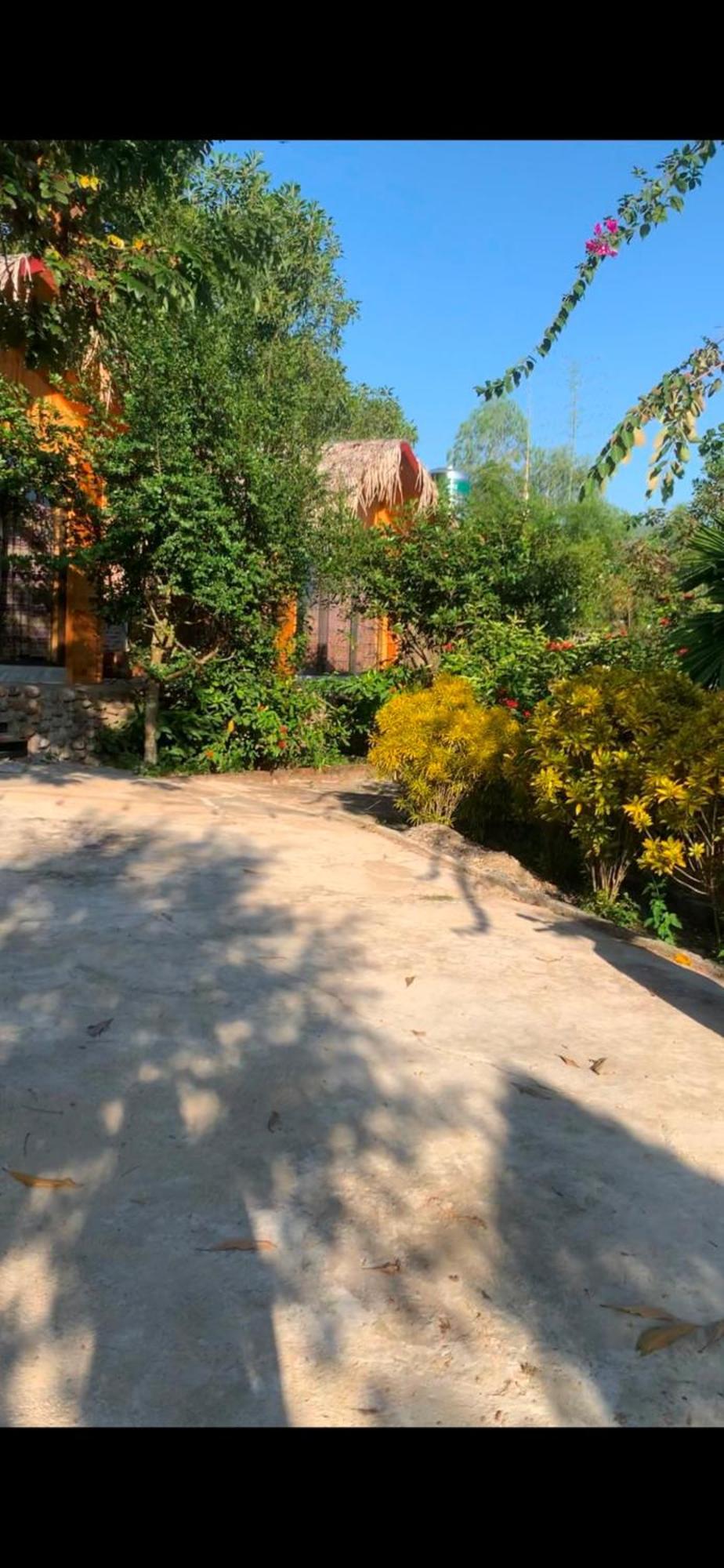 Homestay Nha Cua Mi - Mi'S House Yen Bai ภายนอก รูปภาพ